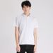Men's Short-sleeve Polo Shirt 2026, Loose Fit, Turn-down Collar, Summer Men's Wear, All-cotton, Plus Size, Casual_viptrois.com