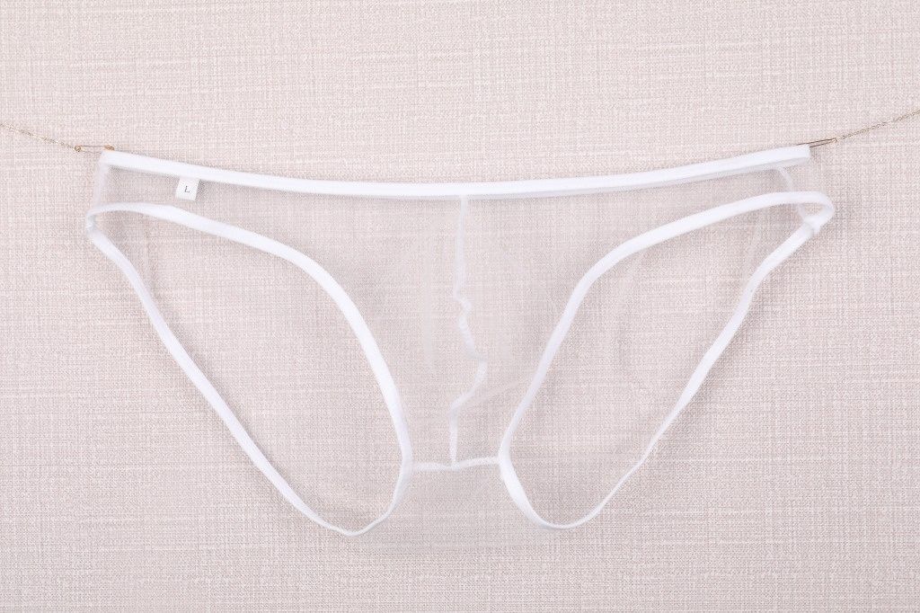 Pulse Men's Underwear Export European And American Style Sheer Fine Mesh Pouch Low Waist Briefs Plus Size C-034_viptrois.com
