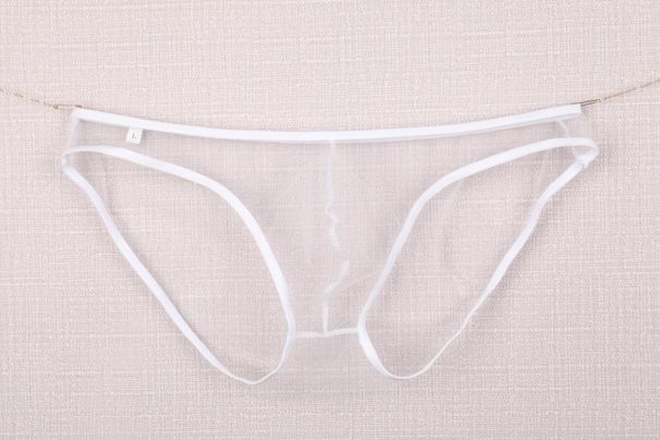 Pulse Men's Underwear Export European And American Style Sheer Fine Mesh Pouch Low Waist Briefs Plus Size C-034_viptrois.com