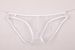 Pulse Men's Underwear Export European And American Style Sheer Fine Mesh Pouch Low Waist Briefs Plus Size C-034_viptrois.com