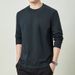 Heavyweight 100% Cotton Long Sleeve T-Shirt Men's Solid Color Base Shirt 2025 New Style Top Spring Autumn Round Neck_viptrois.com
