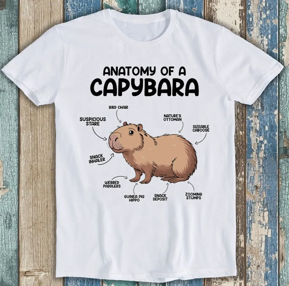 Anatomy Of A Capybara Cute Animal Meme Funny Gift Tee T Shirt Mens Womens Tees Top 1895_viptrois.com