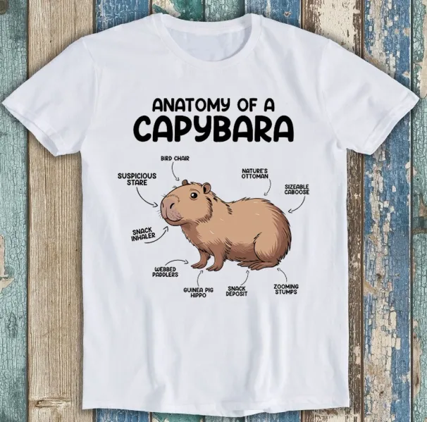 Anatomy Of A Capybara Cute Animal Meme Funny Gift Tee T Shirt Mens Womens Tees Top 1895_viptrois.com