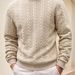 Pure Cross-Border European Size Autumn Winter Knitted Sweater Daily Solid Color Youth Men's Fashion Jacquard High Neck Warm_viptrois.com