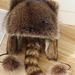 Trapper Hats Tail hat male and female children adult_viptrois.com