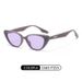 Personalized Sunglasses For Women Trendy Cat Eye Sunglasses 6304 Internet Celebrity Ins Trend Brand Sunglasses_viptrois.com