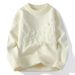 Men's Thickened Warm Ripped Men's Sweater Jacket Youth Crew Neck Pullover Lazy Wind Knitted Sweater_viptrois.com