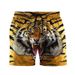 Unbeatable Quality Unbeatable Quality Animal 3D Printed Male Tiger Snake Zebra Graphic, Summer Outdoor Cool Beach Shorts, Sports_viptrois.com