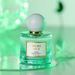 2024 New Hot Perfume Nile Perfume Lasting Women's Popular Brand Women's RISTERS Perfume_viptrois.com