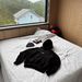 American Casual Loose Art Letter Pattern Signature Autumn And Winter Street Versatile Hooded Sweater_viptrois.com