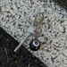 Cleanfit Billiard Keychain Dice Bottle Opener Key Trend Car Pendant High End Waist Pendant_viptrois.com
