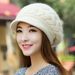 Apparel Accessories middle aged and elderly autumn and winter warm knitted wool hat plus velvet style fashionable all match beret hat women winter_viptrois.com