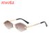 New Frameless Diamond Shaped Sunglasses With Leopard Head Decoration, Cross Border Simple Female High End Sunshade Sunglasses T1248_viptrois.com