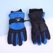 Children's Ski Winter Outdoor Sports Riding Thickened Anti-Slip Waterproof Split Finger Mountaineering Warm Gloves_viptrois.com