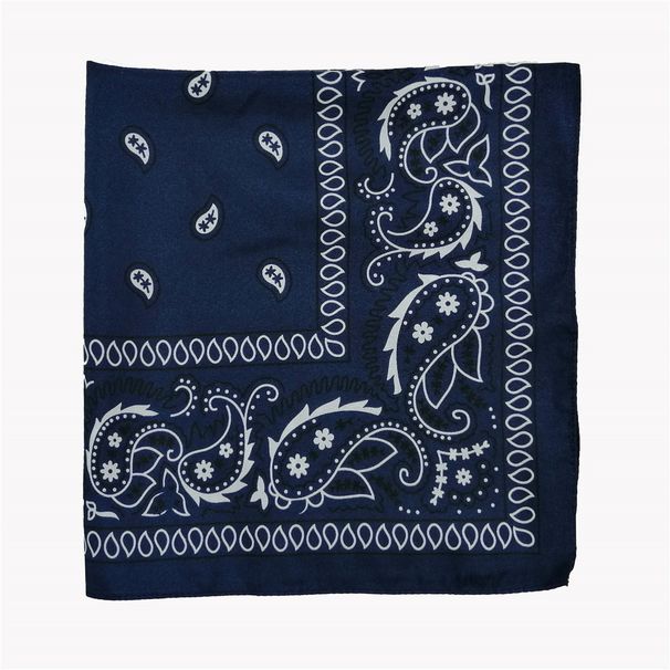 Unisex Polyester 54x54 cashew nut flower amoeba square Hip Hop hop riding bandana sunflower seed flower handkerchief_viptrois.com