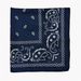 Unisex Polyester 54x54 cashew nut flower amoeba square Hip Hop hop riding bandana sunflower seed flower handkerchief_viptrois.com