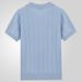 Men's Clothing Solid Color Knitted Sweater Lapel Short Sleeve Business Polo Shirt Men_viptrois.com
