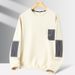 New Men's Casual Round Neck Long Sleeved Pullover T-Shirt Spring And Autumn Hoodies, Versatile For Teenagers Ccc_viptrois.com