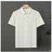 2025d 2025 Summer Men's Casual Versatile Polo Shirt Short Sleeve New Trendy Embroidered Turn-down Collar T-shirt_viptrois.com