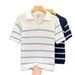 Men's Clothing Men's Collared Knit Sweater Short Sleeved Cool Stylish Hollowed Out Breathable Striped Heavyweight Style Top_viptrois.com