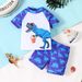 Boys Suit Summer Shark Pullover Shorts Two Piece Suit European And American Fashion Quick Drying Children's Beach Swimsuit Suit_viptrois.com
