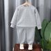 Children's Autumn Suit 2023 New Style Baby Girl Sweater Two Piece Suit Boy Casual Clothes Small And Medium Children's Clothing Trend_viptrois.com