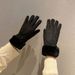 Winter suede warm outdoor windproof and plush thick gloves, women's standard wool mouth cycling touch screen gloves_viptrois.com
