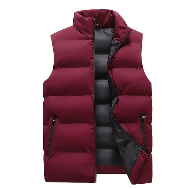 Tide Cloth Autumn And Winter Cotton Clothes Vest Men's Winter Stand-up Collar Vest Vest Warm Sleeveless Cotton Coat Gown Windproof_viptrois.com