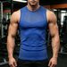 Men's Clothing Muscular Men's Sleeveless Vest Milk Silk Stretch Racer Neck Quick Drying Sports Vest Ribbed Print Fashionable_viptrois.com