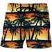 2023 Cross-border Summer New 3D Printed Beach Pants Holiday Sunset Landscape Shorts_viptrois.com