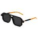 Double Beam Square Frame Sunglasses - Plastic Trendy Style (European & American Internet Celebrity Look, Unisex)_viptrois.com
