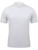 2025d 2024 Summer High-End Nylon Mesh Ice Silk Short Sleeve Men's Polo Shirt With Stand Collar And Buttons_viptrois.com