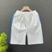 Men's Clothing Thin Summer Straight Leg Striped Five Point Casual Sporty Loose Fit Beach Shorts_viptrois.com