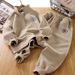 Boys' Letter Print Hoodie Set – Sporty 2-Piece Outfit (Breathable & Stylish)_viptrois.com