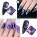 Arte Clavo 9D Cat Eye Vernis Semi Permanent UV Sparkling Nail Polish Rainbow Glitter Cat Magnetic Nail Gel Polish Snowlight_viptrois.com