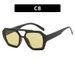 Double Bridge Irregular Sunglasses Fashion Shades For Women/Men Trendy UV400 Protection Glasses_viptrois.com