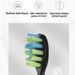 Adult Sonic Electric Smart Wireless Sensor Charge Couple's Toothbrush Waterproof Ultrasonic Automatic Tooth Brush_viptrois.com