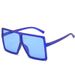 Oversized Fashion Sunglasses - Color Options & UV400 Protection | Stylish Women's Shades_viptrois.com