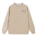 2025 New Simple Sweater Men's Trendy Brand American Crew Neck Color Matching Loose Versatile Plus Fat Plus Size Sweater Men_viptrois.com