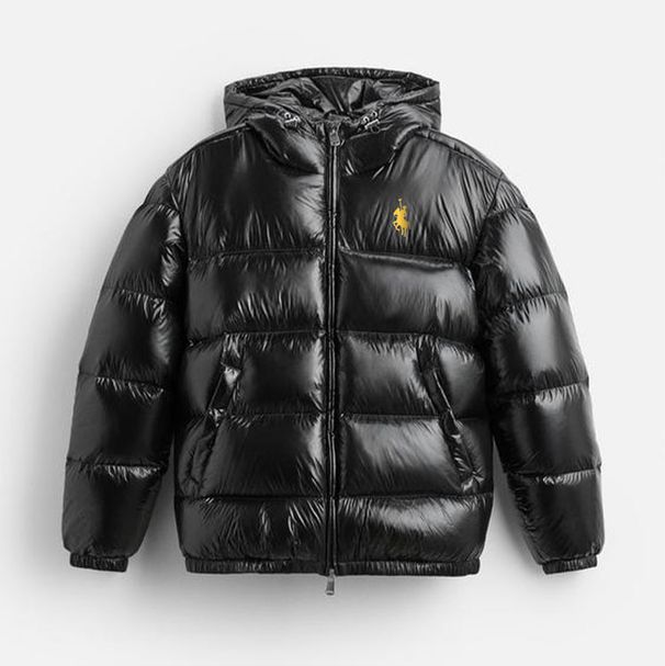 Men's Clothing New Padded Hooded Jacket With Pony Print - Thickened Polyester Winter Coat For Urban Streetwear, Slim Fit Zip-Up Windbreaker_viptrois.com