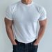 Men's Clothing Summer T Shirt With Small Neckline Slim Fit Short Sleeves Muscle Suit_viptrois.com