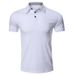 2025d 2020 New Men's Spring Summer Short Sleeve Corporate Polo Shirt_viptrois.com
