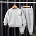 Kids' Trendy Two-Piece Sweatsuit - Korean-Style Western Outfit For Boys & Girls, Fashionable Spring/Fall Matching Set_viptrois.com