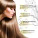 EELHOE Rosemary Dense Essential Repairs Damaged to Prevent Loss, Smooth, and Nourishing Hair Care Oil_viptrois.com
