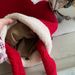 Velvet Crossbody Glove Bag - Stylish Winter Handbag With Plush Gloves For Women, Retro Christmas Gift, Roomy Tote With Inner Pockets_viptrois.com