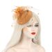 hot sale bride headdress hairpin retro mesh hat feather hair accessories_viptrois.com
