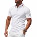 Summer Men's Quick Drying Polo Shirt Casual Business Golf Short Sleeve Breathable Sweat Wicking Size_viptrois.com