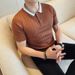 Men's New Summer Stretch Knitted Polo Shirt Slim Light Luxury Lapel Short Sleeved T Shirt Men_viptrois.com