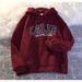 2025 Fashion European-USA Street Hip-Hop Style Hoodies Women Men Letter Printing Long Sleeve Loose Hooded Sweatshirts M-5XL_viptrois.com