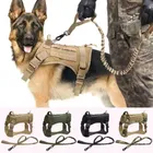 Dog Collars, Leashes & Harnesses_viptrois